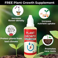 Tuberose 🌸 Bulbs! 🔥+ Plant Growth Supplement FREE🔥