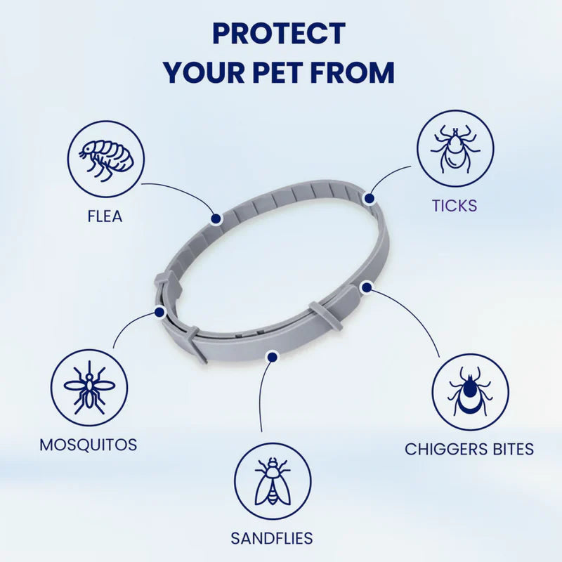 Goozy™ Collar (Safest 8+ Months Protection)