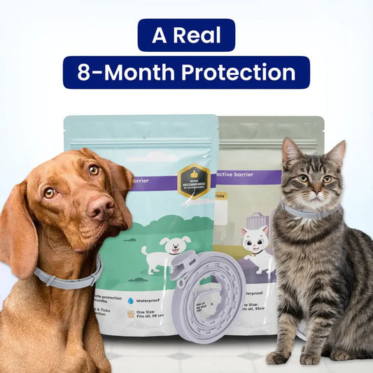 Goozy™ Collar (Safest 8+ Months Protection)