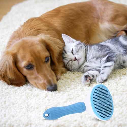 🐶Pet Hair Removal Brush 🤩Great Sale-30% OFF💥