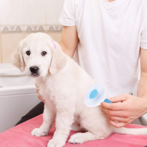 🐶Pet Hair Removal Brush 🤩Great Sale-30% OFF💥