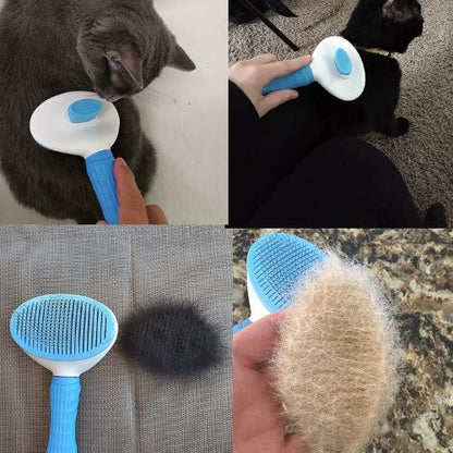 🐶Pet Hair Removal Brush 🤩Great Sale-30% OFF💥