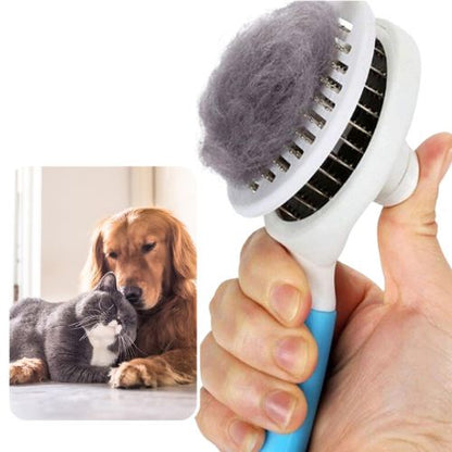 🐶Pet Hair Removal Brush 🤩Great Sale-30% OFF💥